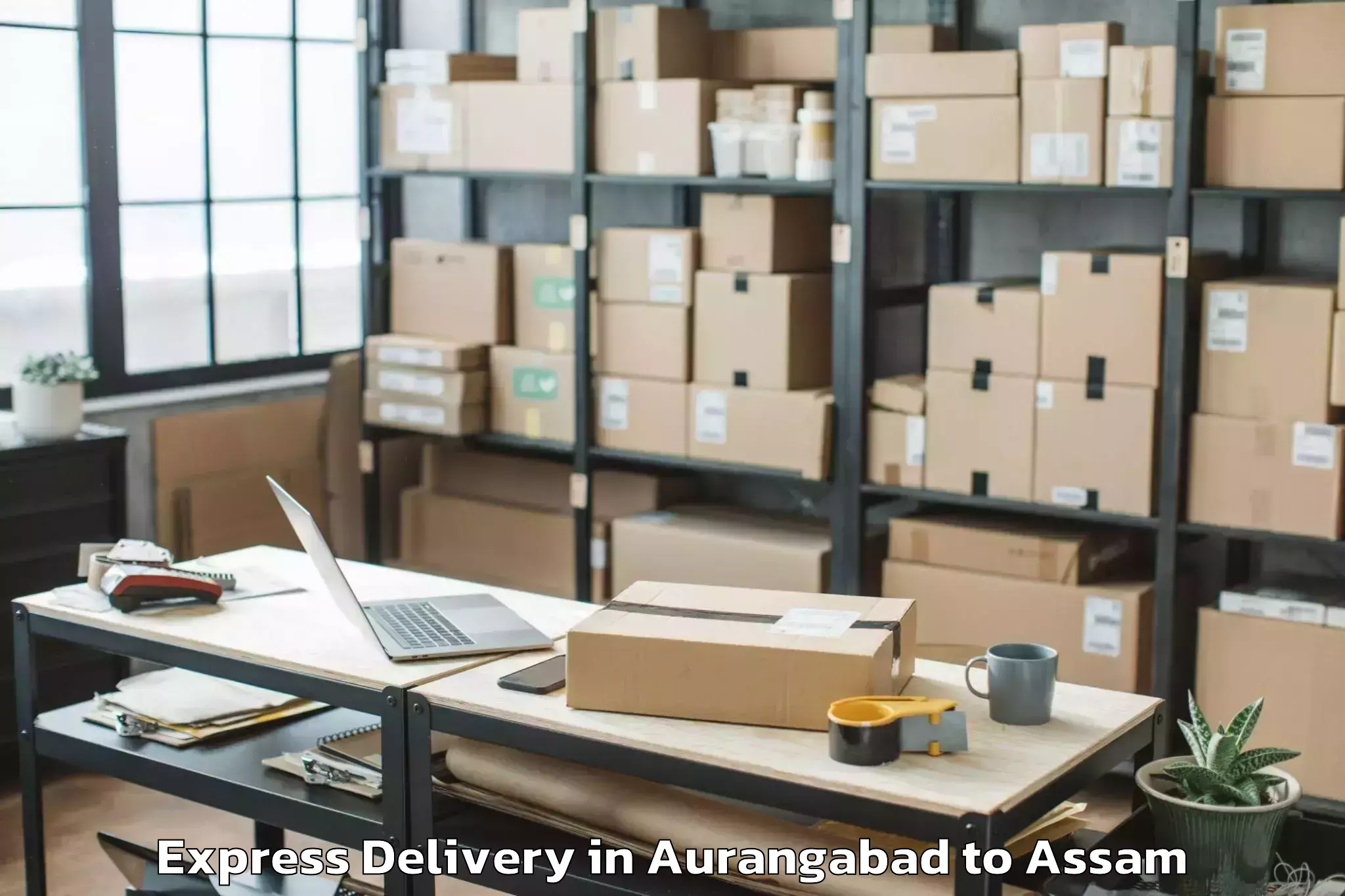 Leading Aurangabad to Naharkatia Express Delivery Provider